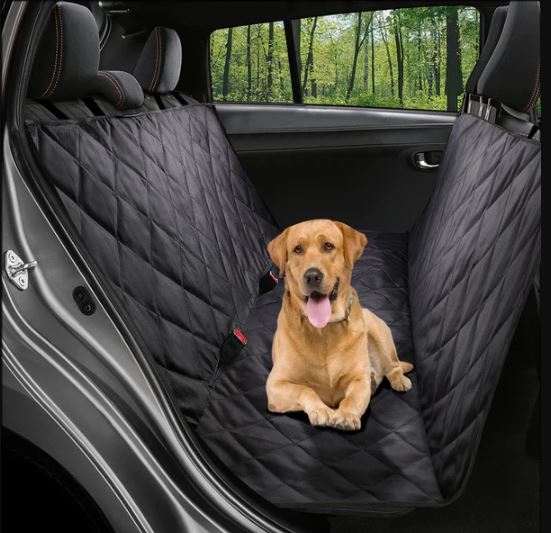 What is the best dog car seat cover in 2026?