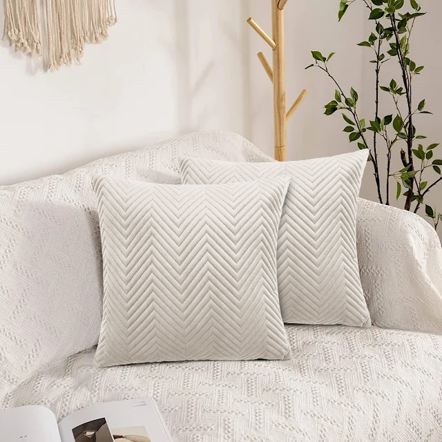 Cushion Covers Pack Of 2