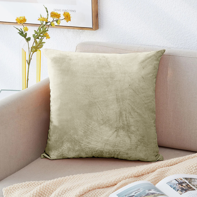 Beige Filled Cushions & Velvet Covers