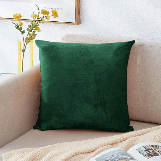 Dark Green Filled Cushions Velvet Covers