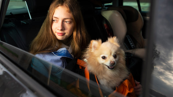 Is Using A Dog Car Seat Cover Safe While Driving?