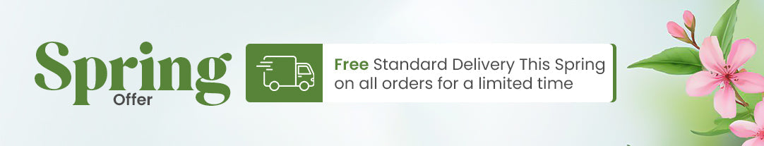 Spring Offer