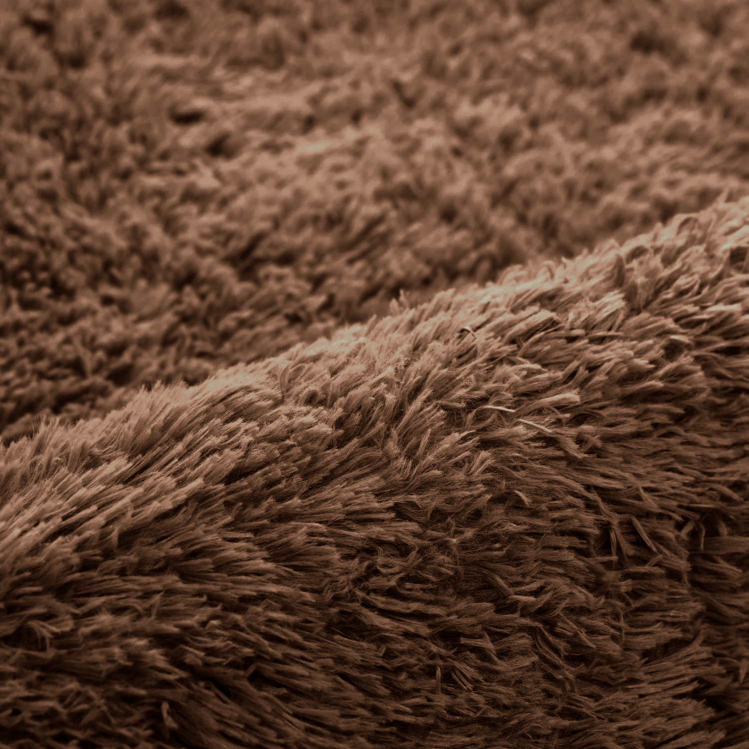 Brown Shaggy Rug 