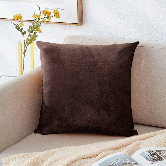 Brown Filled Cushions & Velvet Covers