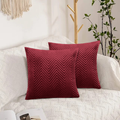 Cushion Covers Pack Of 2 