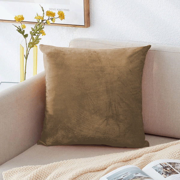 Brown Filled Cushions & Velvet Covers