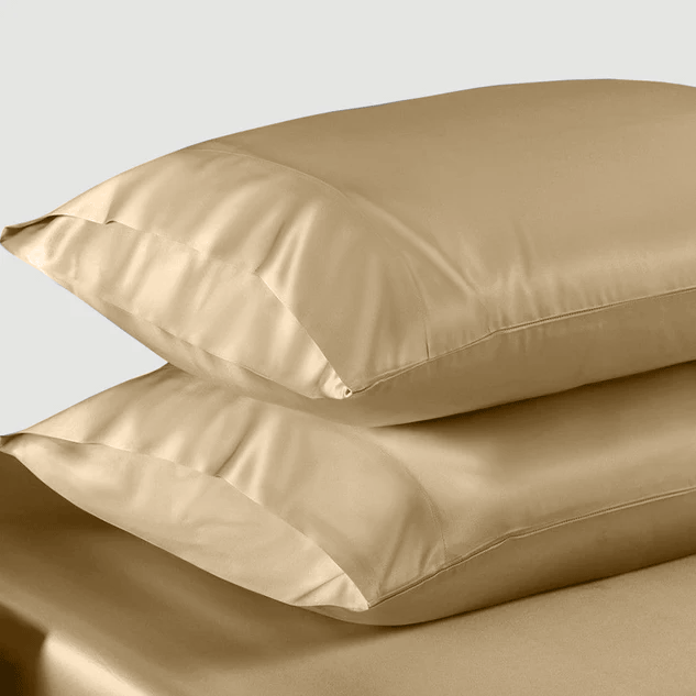 Champion Satin Silk Pillowcases Pair